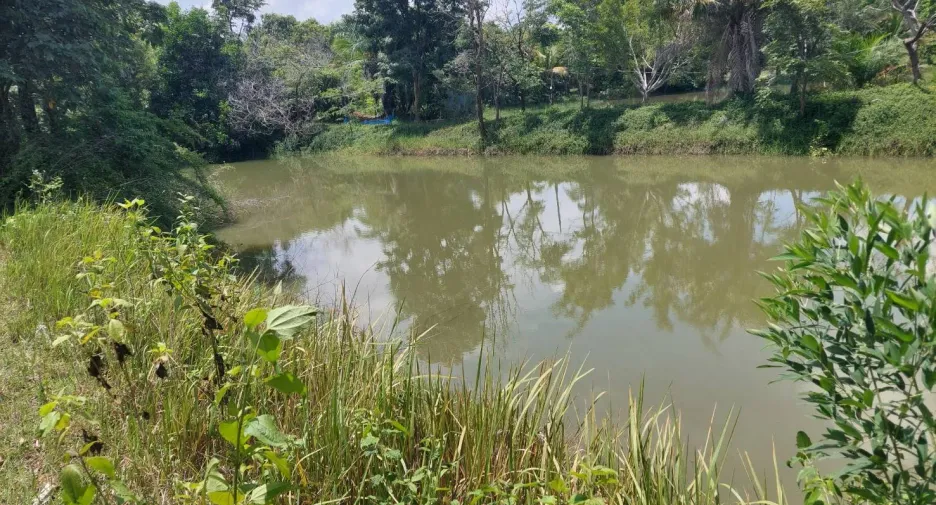 For sale land in Mueang Kalasin, Kalasin