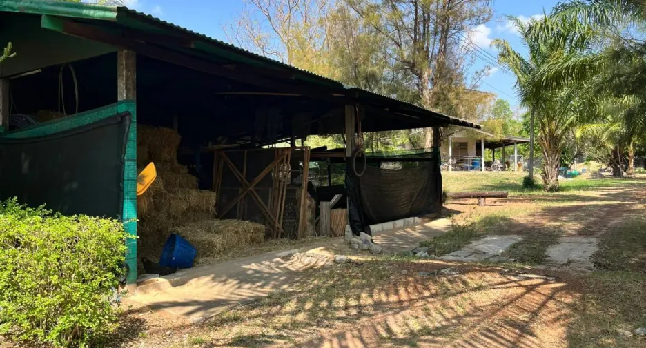 For sale land in Mueang Kalasin, Kalasin
