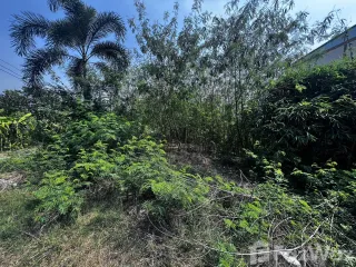 For sale land in Phutthamonthon, Nakhon Pathom