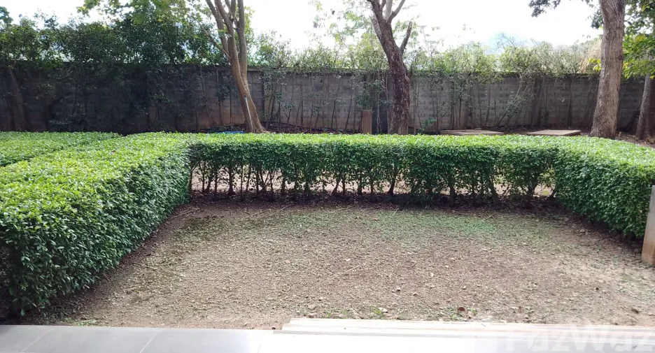 For sale and for rent 1 bed condo in Pak Chong, Nakhon Ratchasima