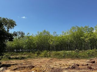 Продажа Участок в Тхаланг, Пхукет