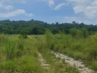 Grundstück zum Kauf in Hua Hin, Prachuap Khiri Khan