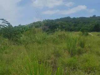 Grundstück zum Kauf in Hua Hin, Prachuap Khiri Khan