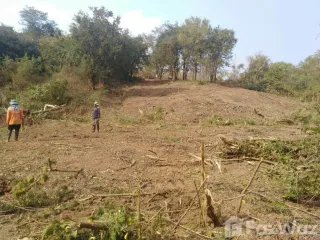 Продажа Участок в Lom Kao, Phetchabun