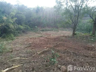 Продажа Участок в Lom Kao, Phetchabun