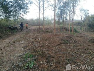 For sale land in Lom Kao, Phetchabun