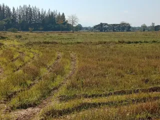 Terreno en venta en Ko Kha, Lampang