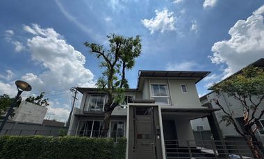For rent 3 bedrooms house in Lat Krabang, Bangkok