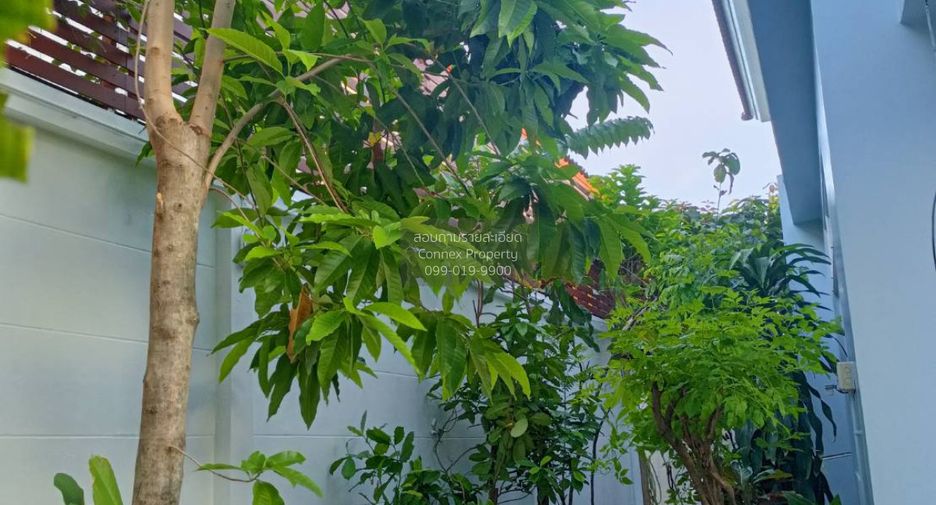 Haus zum Kauf mit 3 Zimmer in Bang Khen, Bangkok