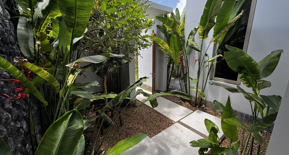 For rent 4 bedrooms villa in Thalang, Phuket