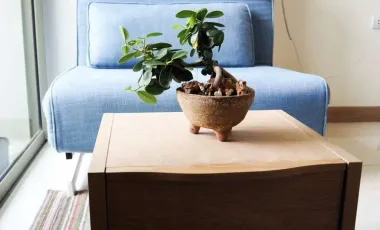 For rent studio condo in Bang Lamung, Chonburi