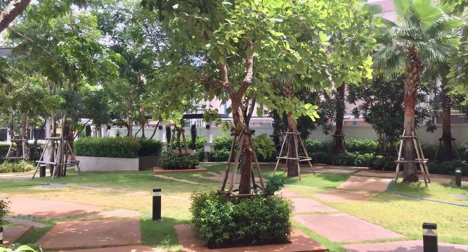 For sale and for rent 1 bed condo in Mueang Chiang Mai, Chiang Mai