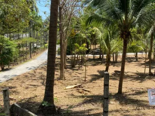 For sale land in Mueang Phuket, Phuket