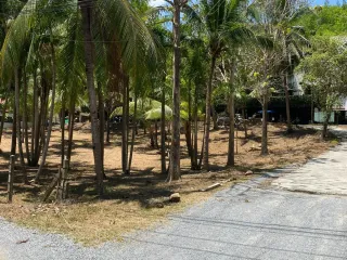 For sale land in Mueang Phuket, Phuket