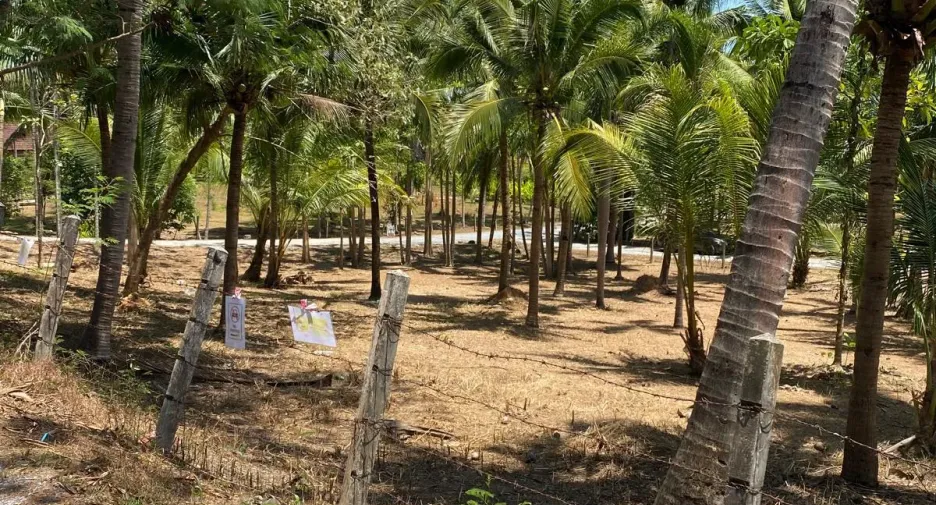 À vendre terrain à Mueang Phuket, Phuket