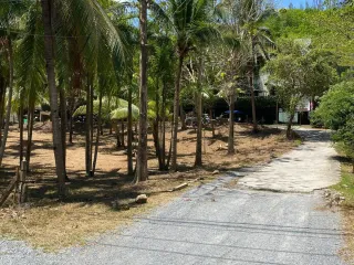 For sale land in Mueang Phuket, Phuket