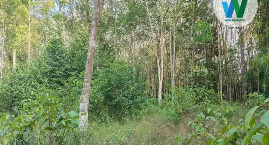 For sale land in Ranot, Songkhla