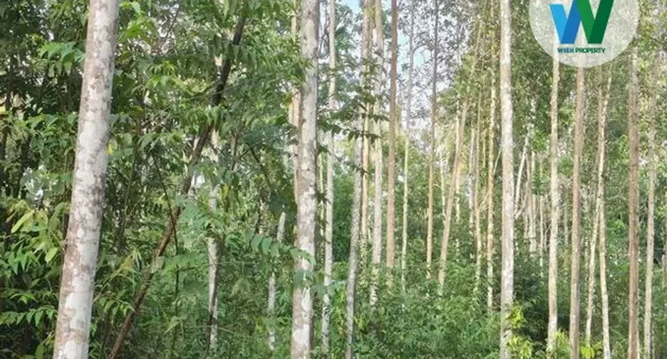 For sale land in Ranot, Songkhla