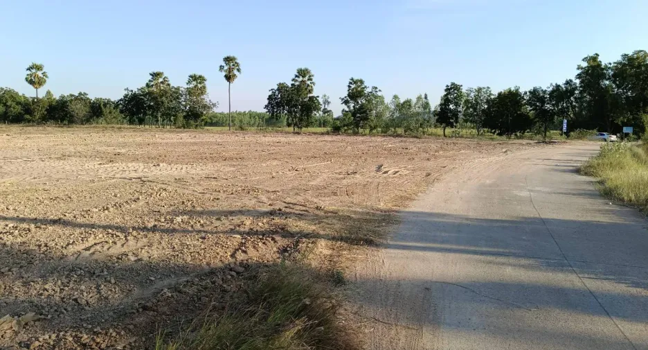 For sale land in Hankha, Chainat