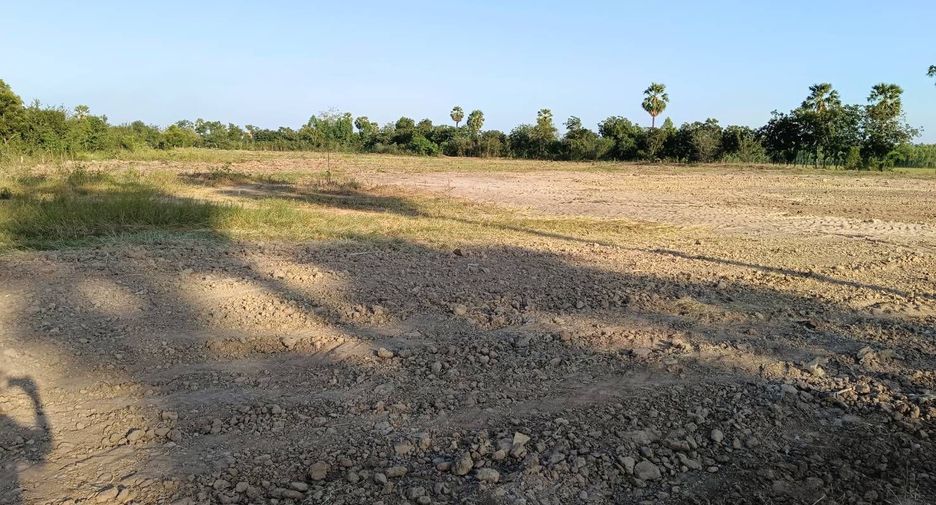 For sale land in Hankha, Chainat