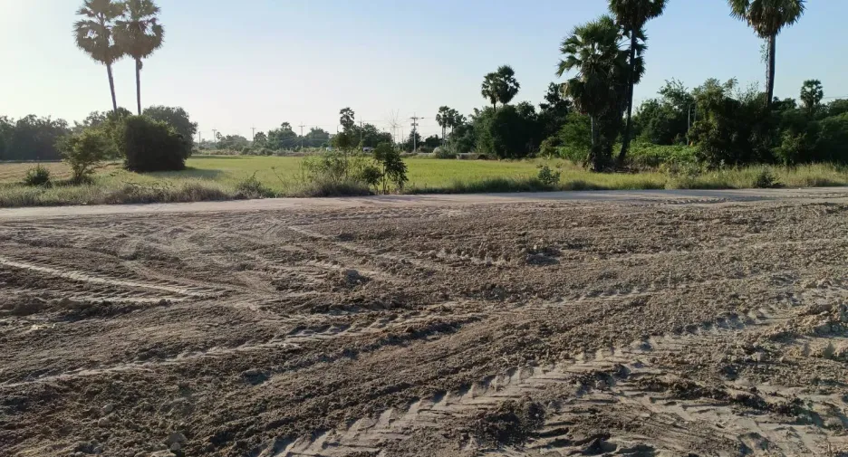 For sale land in Hankha, Chainat