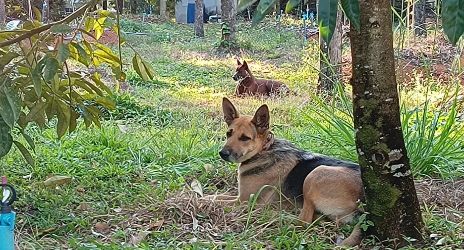 Terreno en venta en Mueang Chanthaburi, Chanthaburi