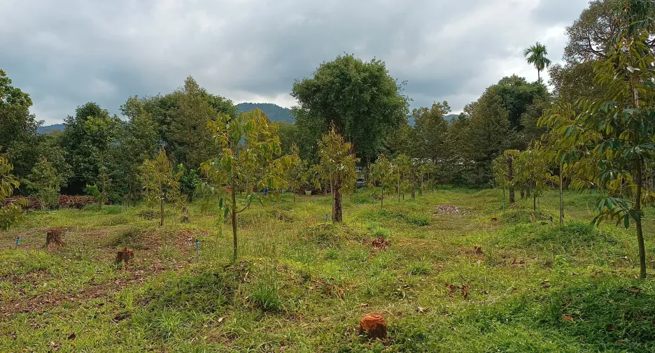 Terreno en venta en Mueang Chanthaburi, Chanthaburi