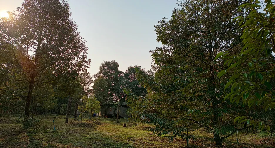 Terreno en venta en Mueang Chanthaburi, Chanthaburi