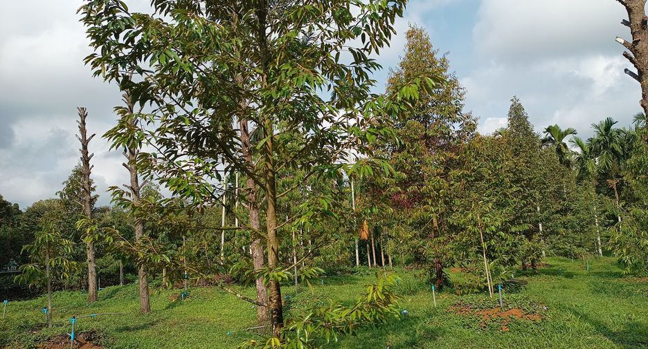Terreno en venta en Mueang Chanthaburi, Chanthaburi