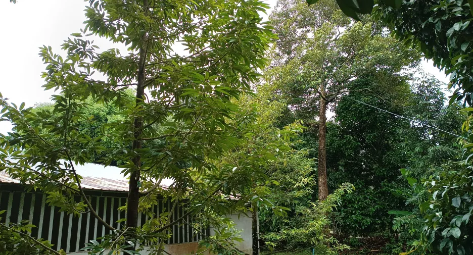 Terreno en venta en Mueang Chanthaburi, Chanthaburi