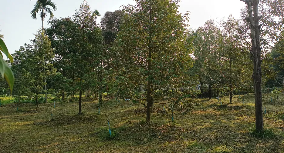 Terreno en venta en Mueang Chanthaburi, Chanthaburi