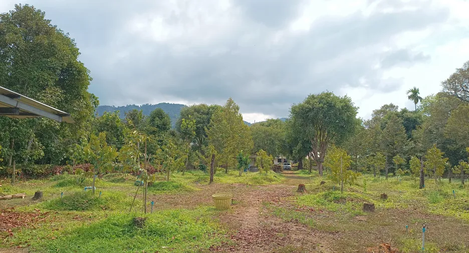Terreno en venta en Mueang Chanthaburi, Chanthaburi