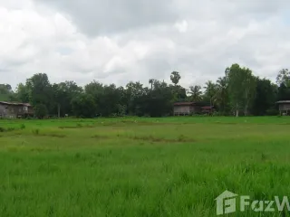 For sale land in Mueang Phitsanulok, Phitsanulok