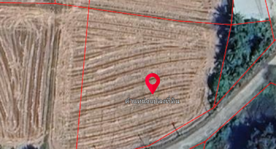 For sale land in Mueang Phitsanulok, Phitsanulok