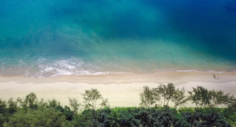 For sale land in Takua Thung, Phang Nga