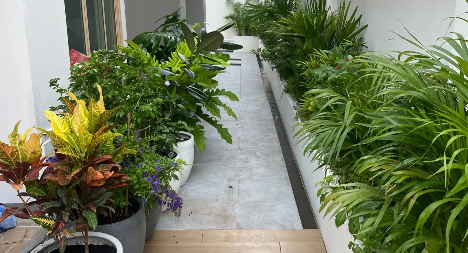 For sale 3 bedrooms house in Suan Luang, Bangkok