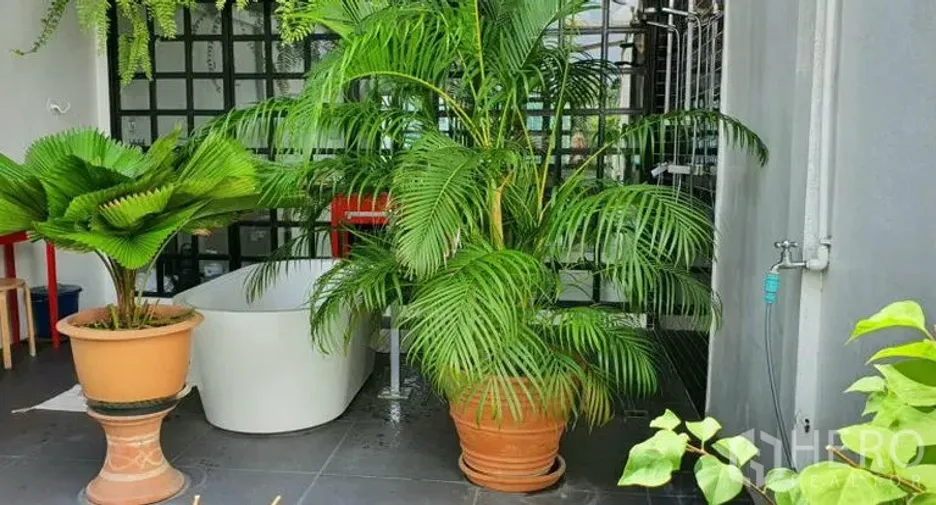 For rent 4 ベッドルーム townhouse in Khlong Toei, Bangkok