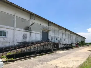 For rent warehouse in Lat Krabang, Bangkok