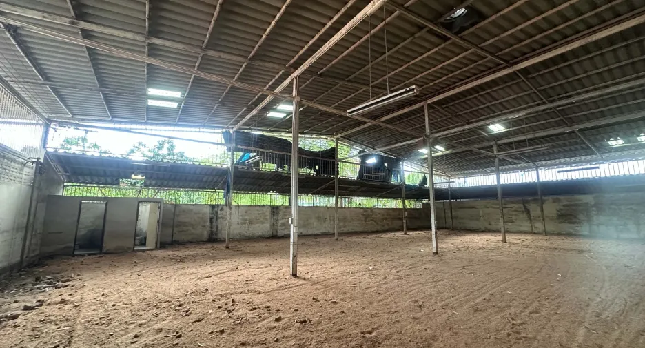 Almacén en alquiler en Lam Luk Ka, Pathum Thani
