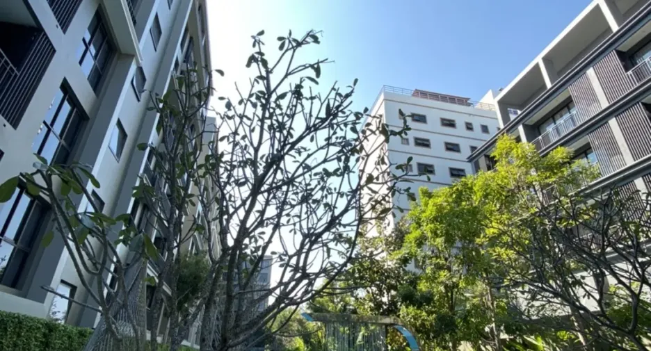 For sale and for rent 1 bed condo in Hua Hin, Prachuap Khiri Khan