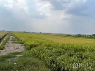 ขาย ที่ดิน ใน ลำลูกกา, ปทุมธานี