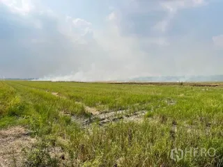ขาย ที่ดิน ใน ลำลูกกา, ปทุมธานี