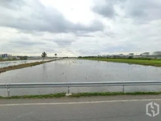 ขาย ที่ดิน ใน ลำลูกกา, ปทุมธานี