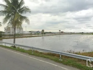 ขาย ที่ดิน ใน ลำลูกกา, ปทุมธานี