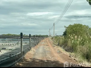 Grundstück zum Kauf in Bang Nam Priao, Chachoengsao