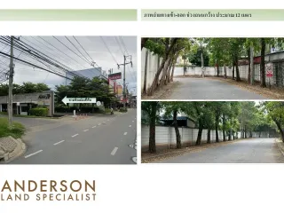 Grundstück zum Kauf in Mueang Pathum Thani, Pathum Thani