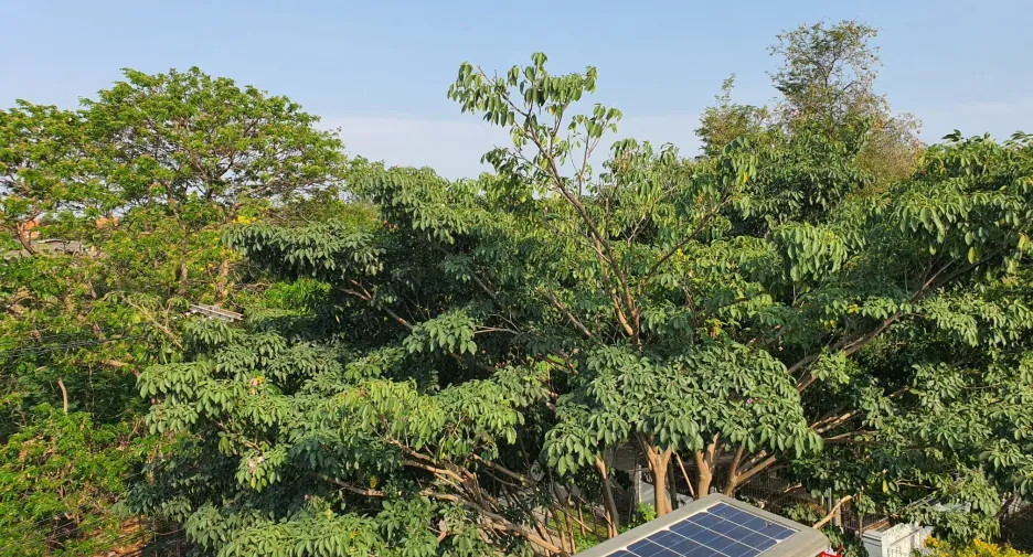 For sale 6 bedrooms townhouse in Prawet, Bangkok