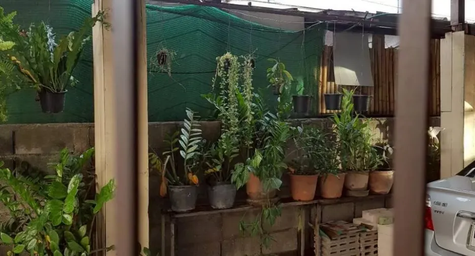 For sale 5 bedrooms house in Mueang Chiang Mai, Chiang Mai