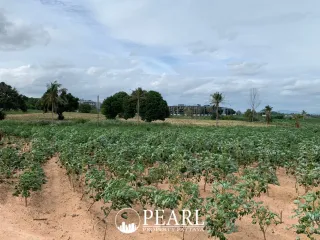 For sale land in Bang Lamung, Chonburi