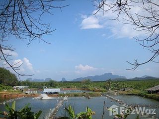 ขาย ที่ดิน ใน เมืองพังงา, พังงา